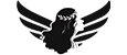 HERA SERVER Logo